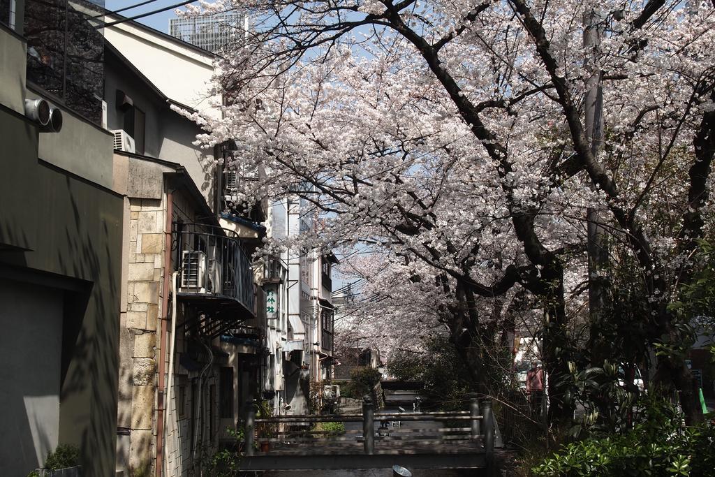 Bijuu Hotel Kyoto Ngoại thất bức ảnh