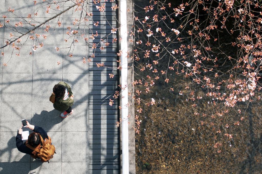 Bijuu Hotel Kyoto Ngoại thất bức ảnh
